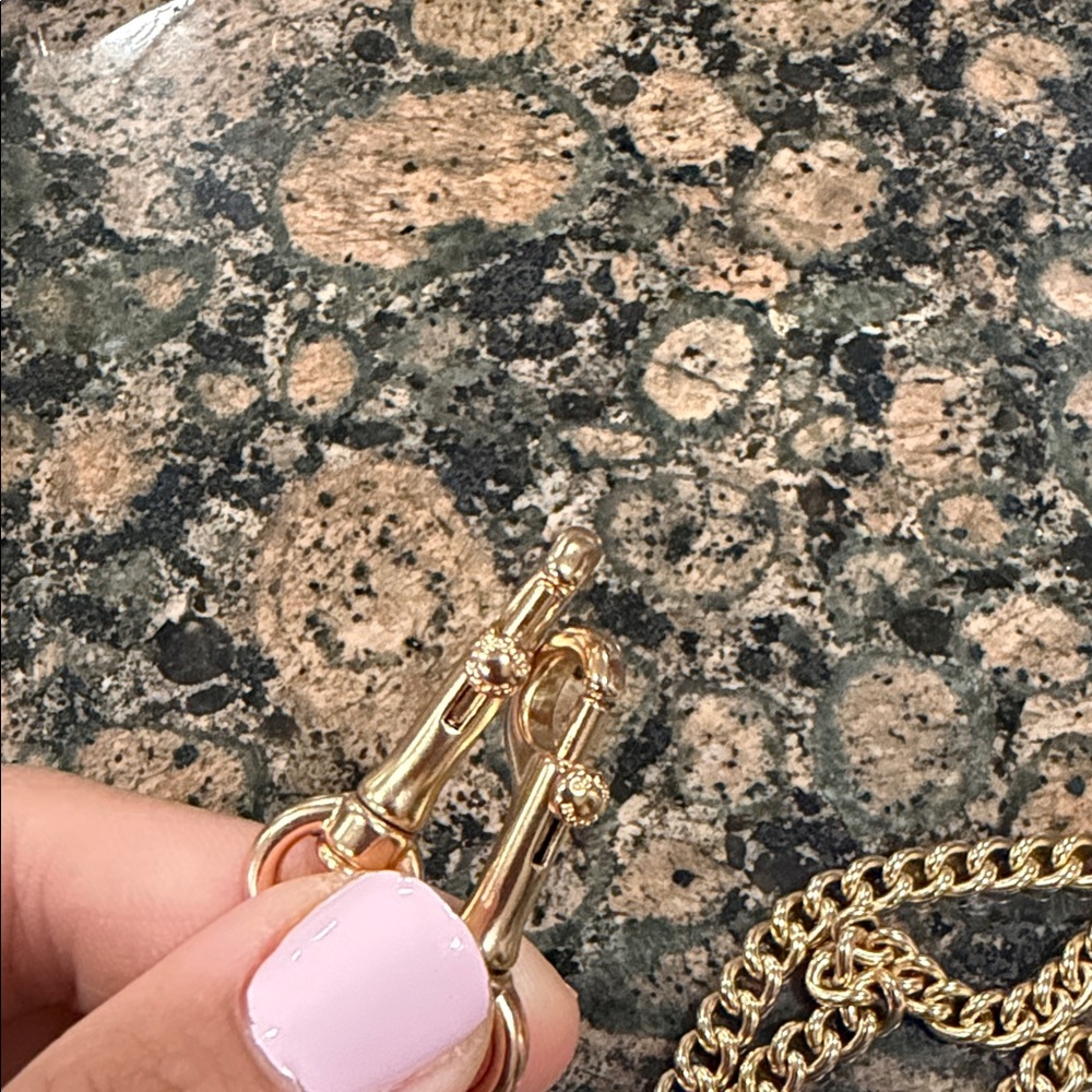 Coach NEW Gold-Tone Double Chain with Clip (crossbody) - Picture 2 of 3